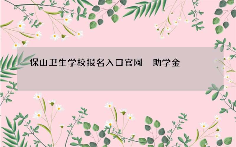 保山卫生学校报名入口官网 助学金